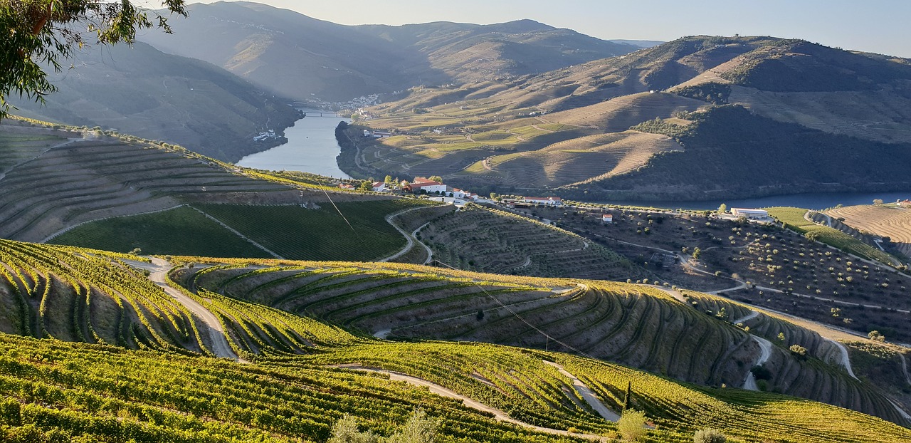 Croisière L'or du Douro, De Porto à Salamanque