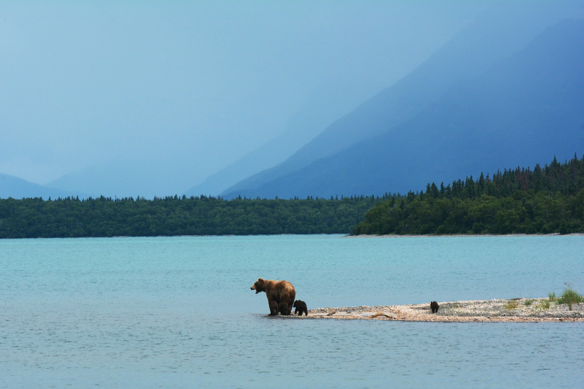 Croisière Alaska
